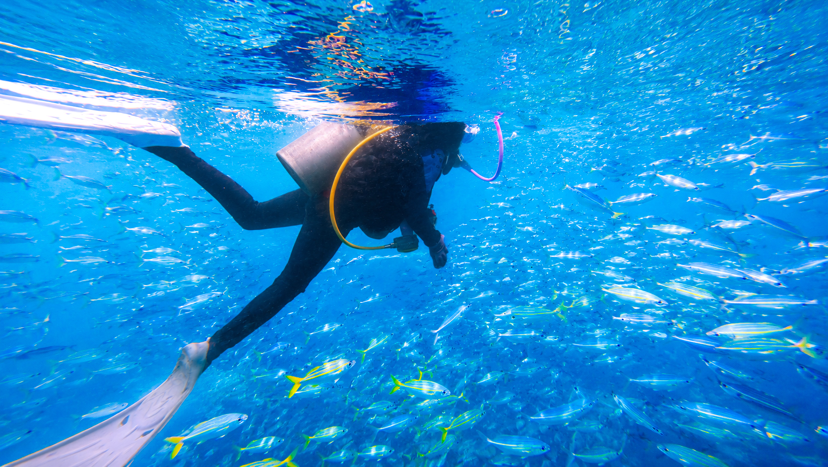 Galeri Trip Pulau Songsong Kedah bersama AbangPit 9