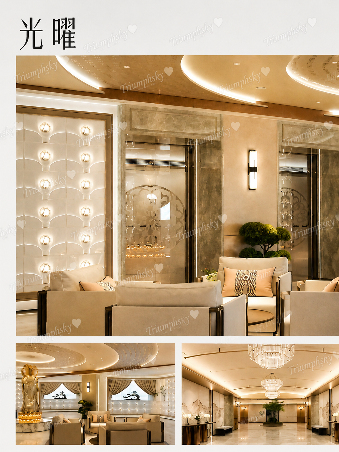 Venus Interior
