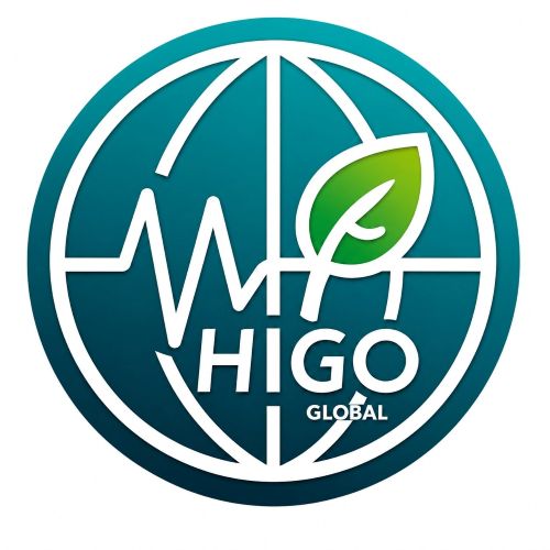 HiGo Global Logo