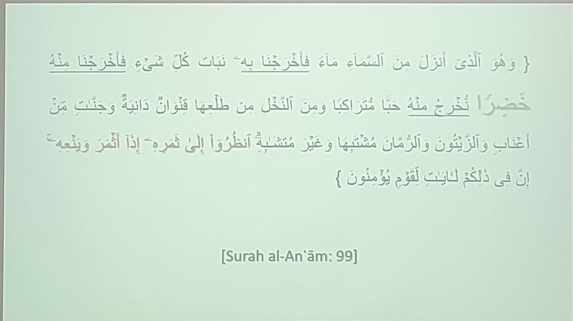 Surah Al-An'am Ayat 99
