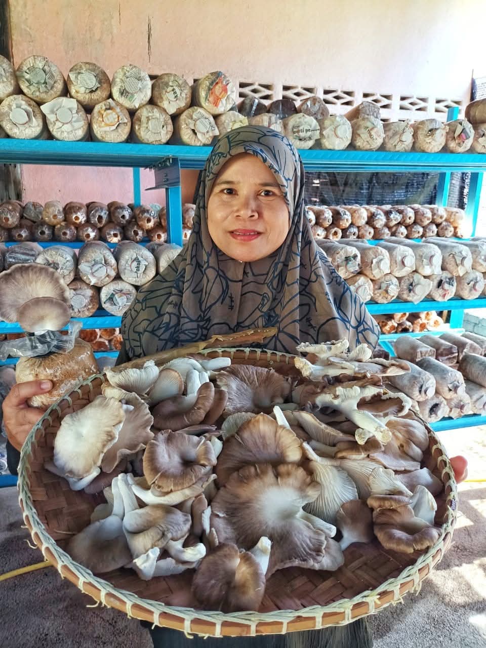 Segar Setiap Hari