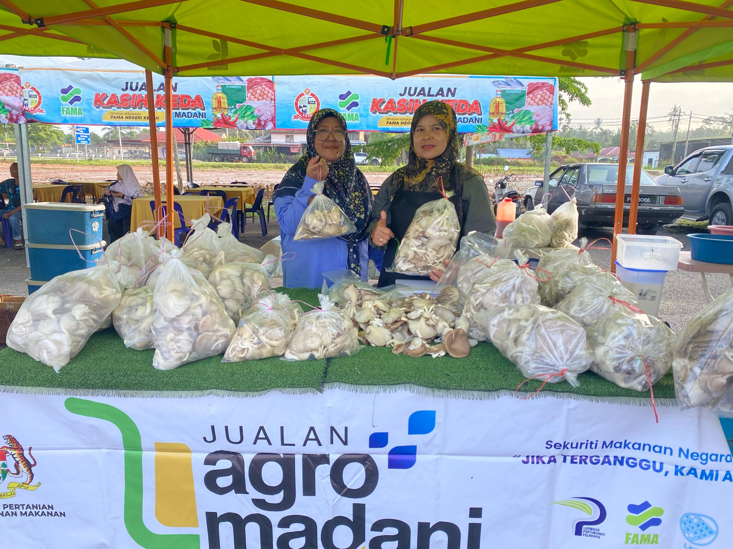 Cendawan Tiram Segar