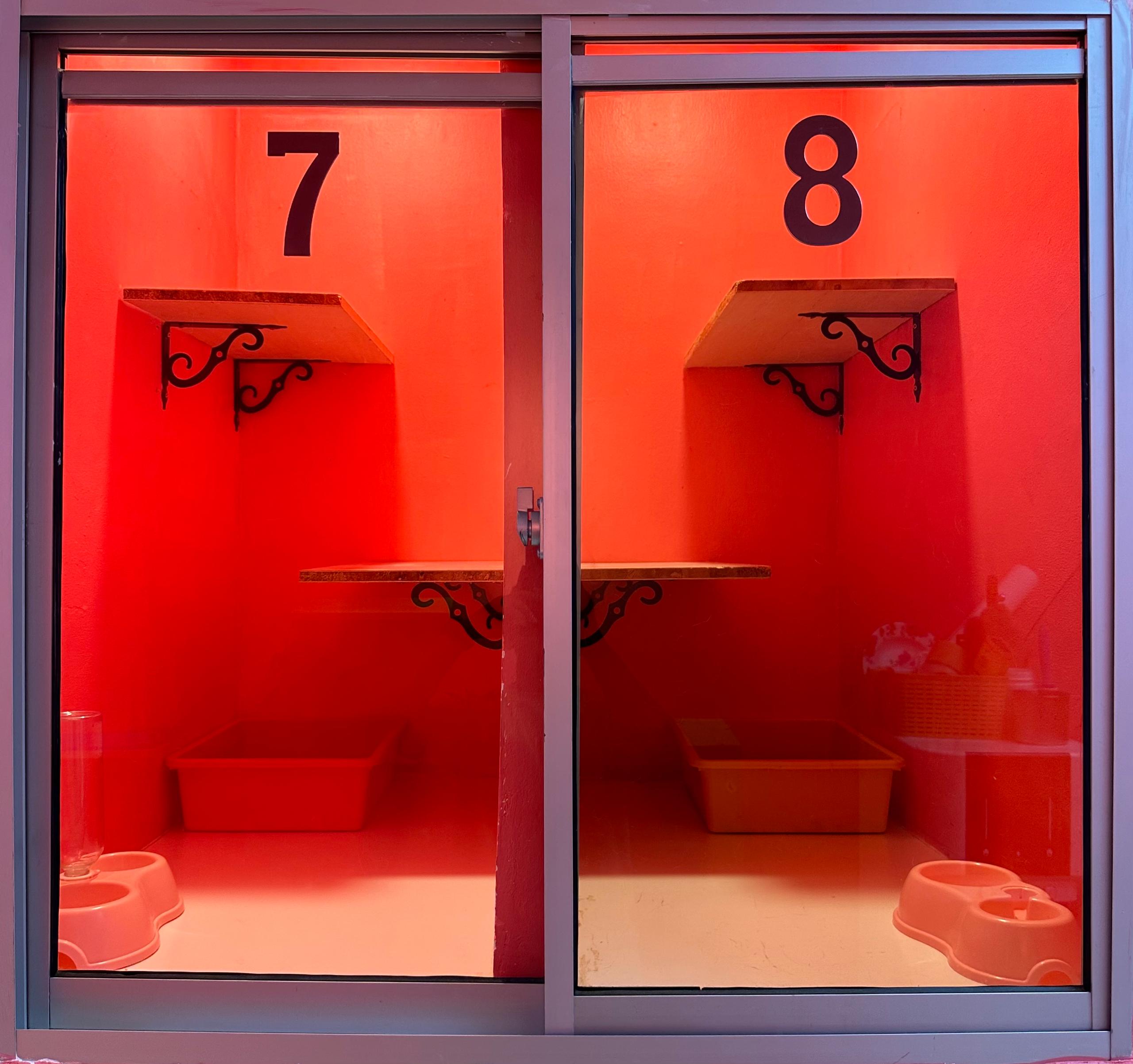 Studio Suite View 2