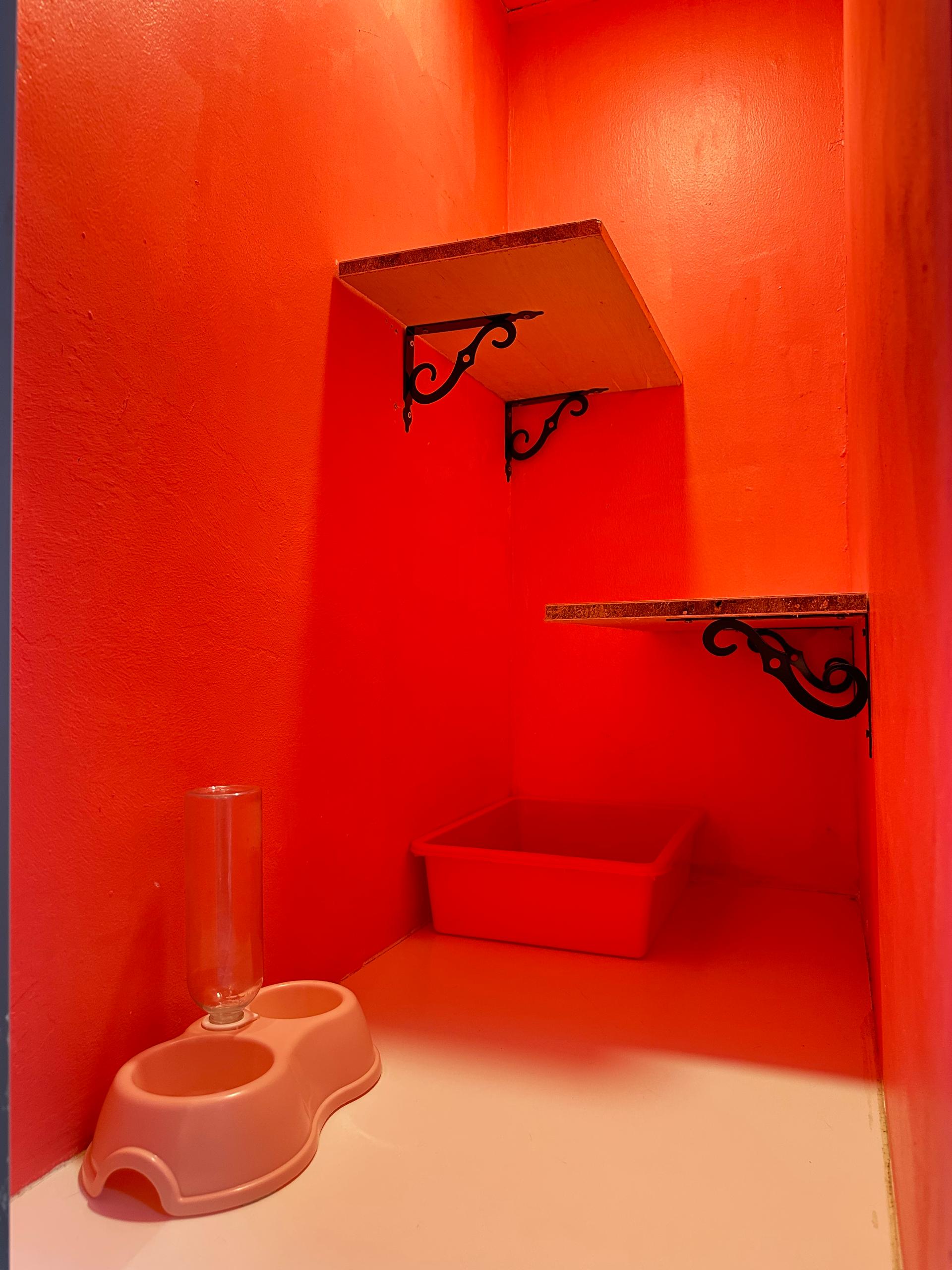 Studio Suite View 1