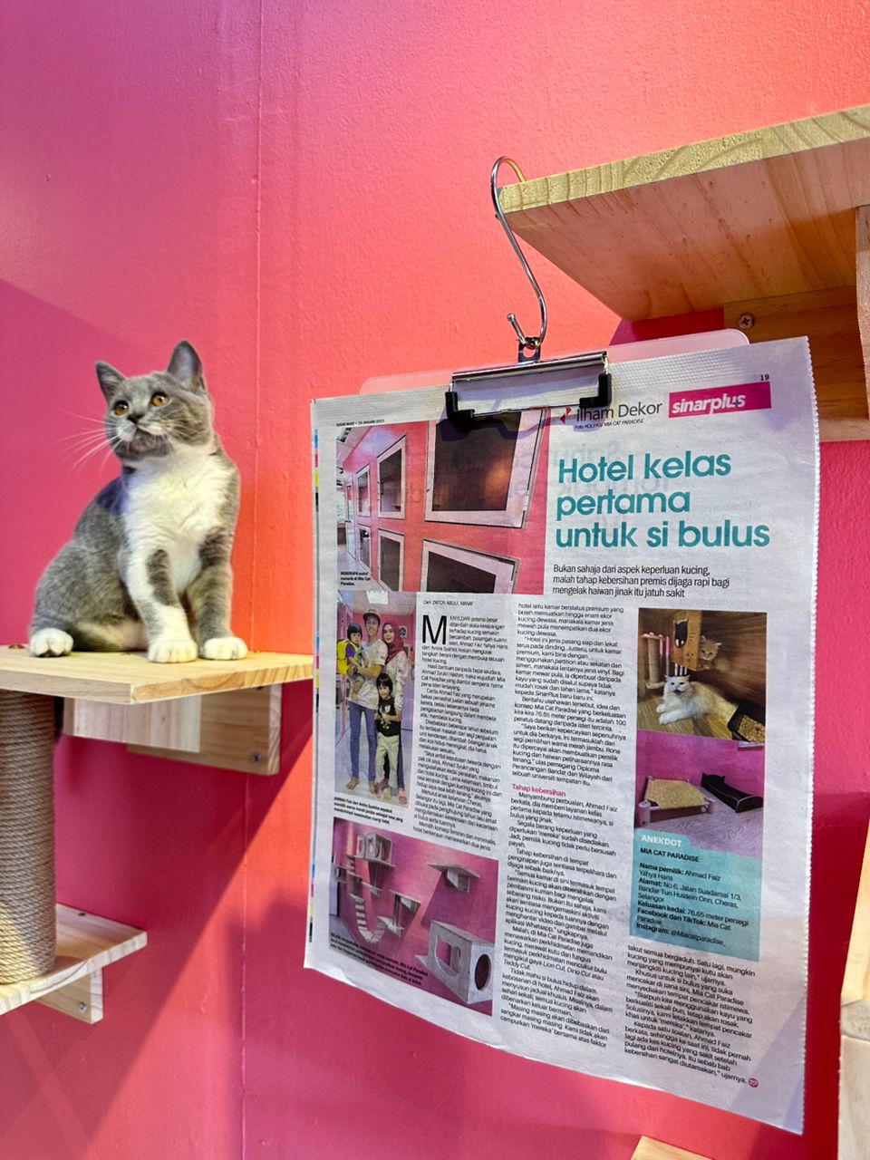 Sinar Harian Feature
