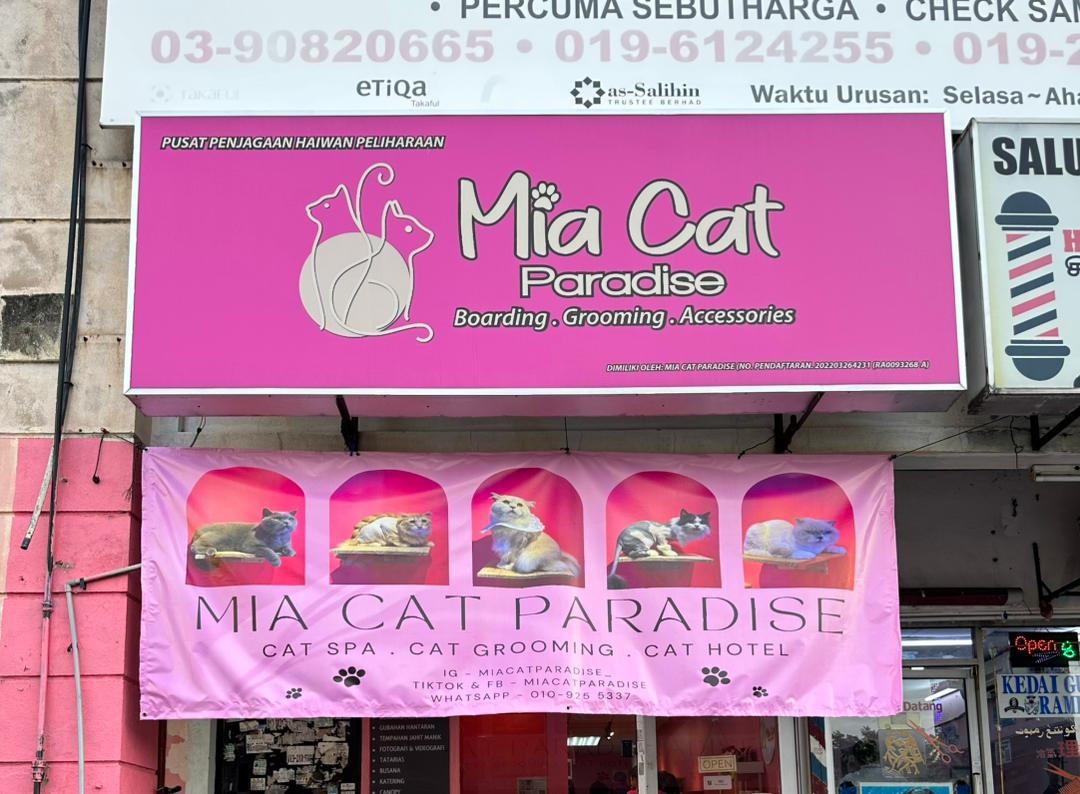 Mia Cat Paradise Shop
