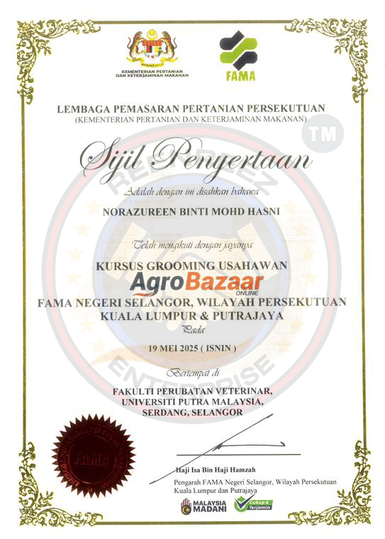 Sijil 16