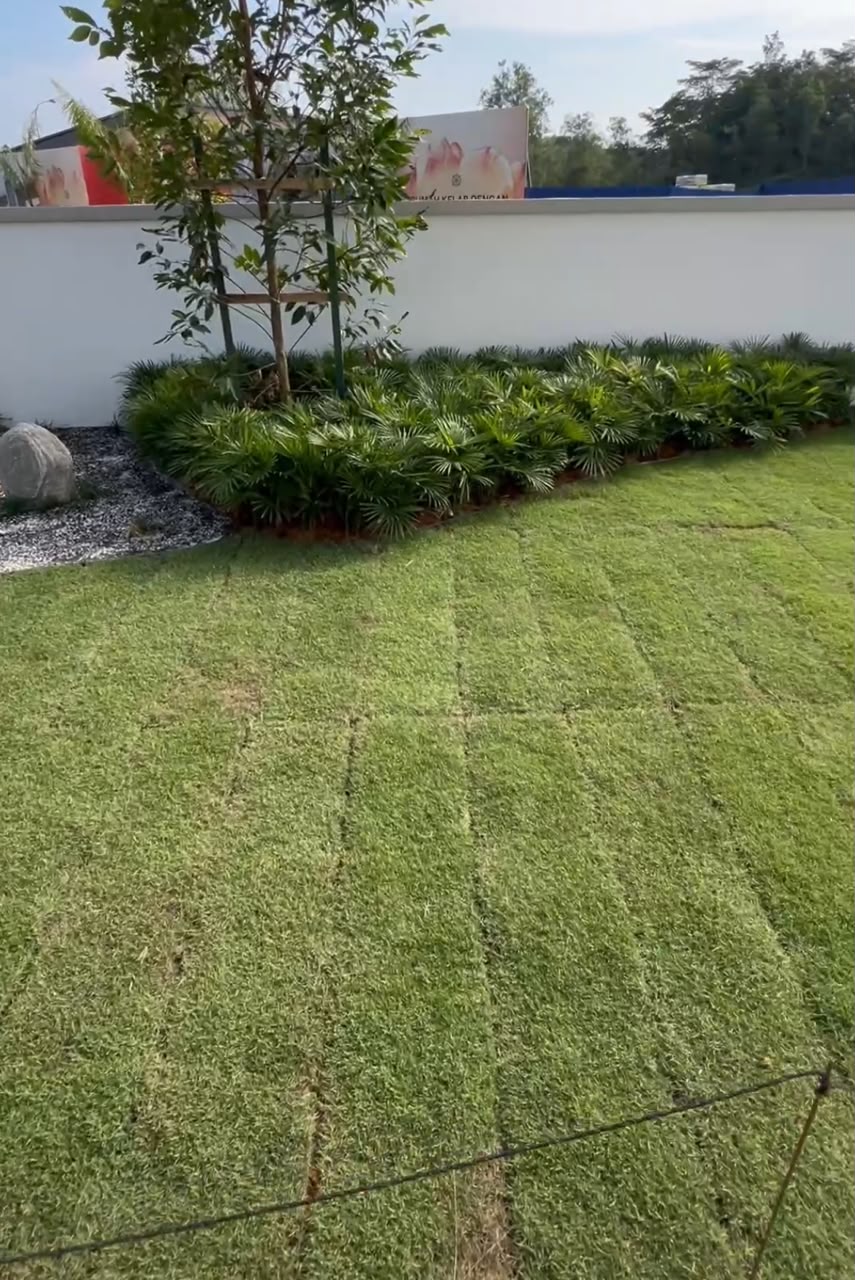 Kawasan Rumput Halaman