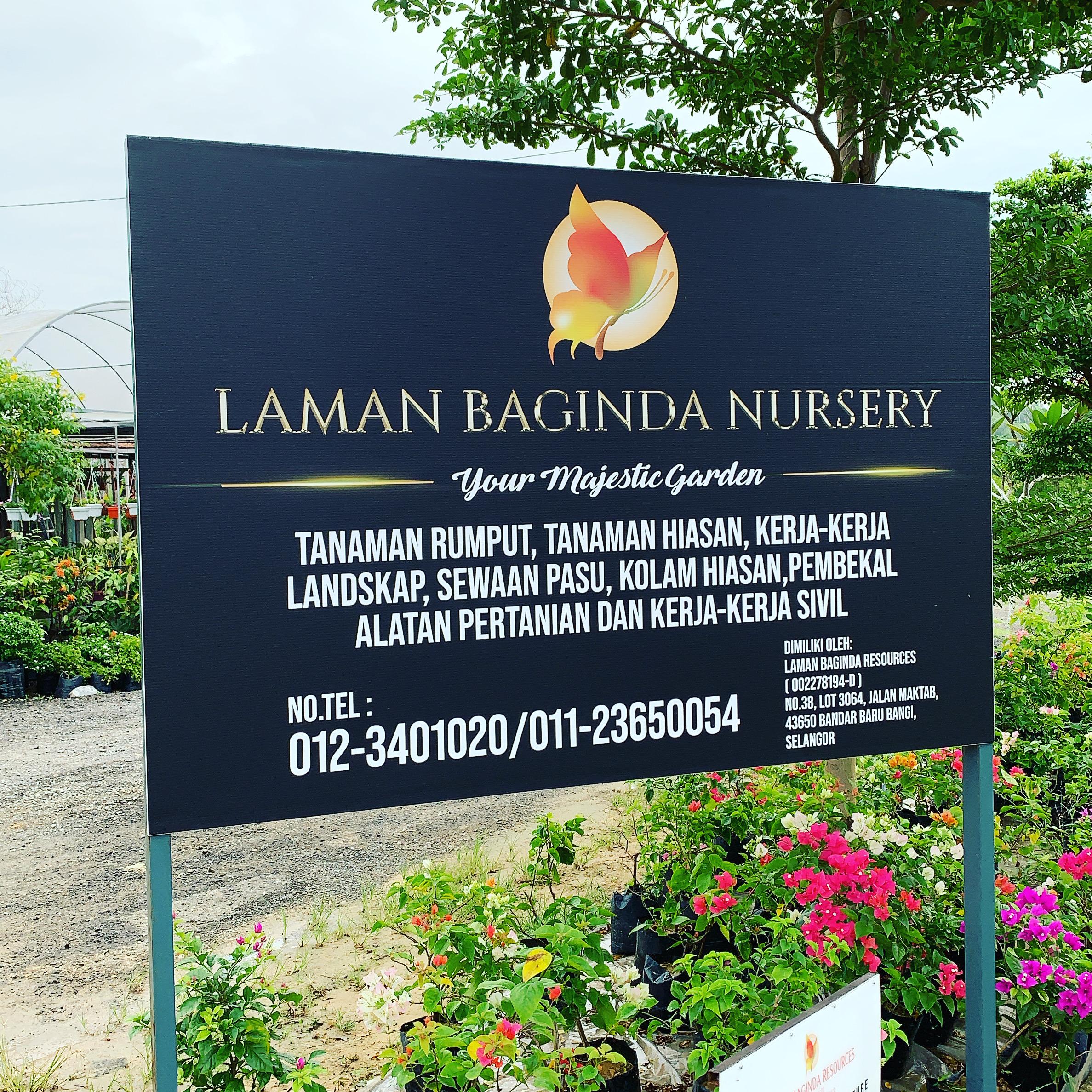 Landscape Maintenance