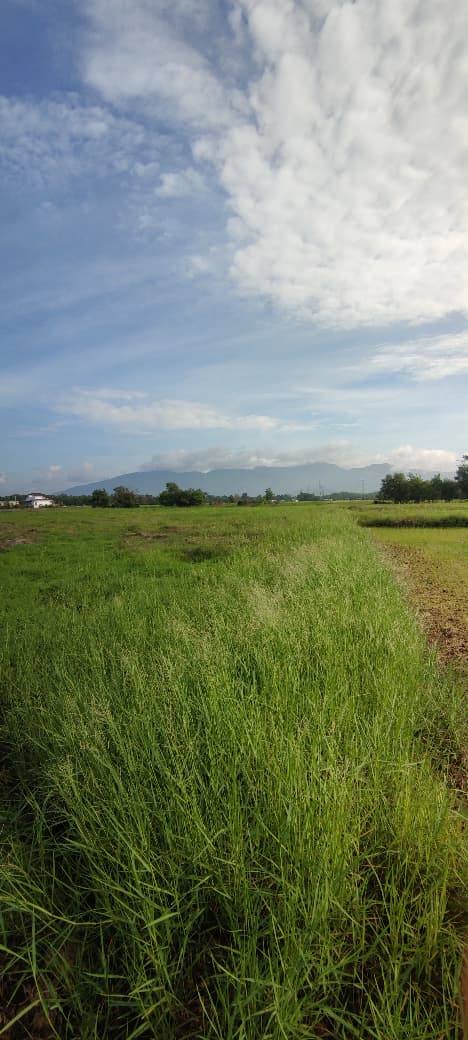 Infrastruktur longkang siap dibina di tanah lot KHAIZU