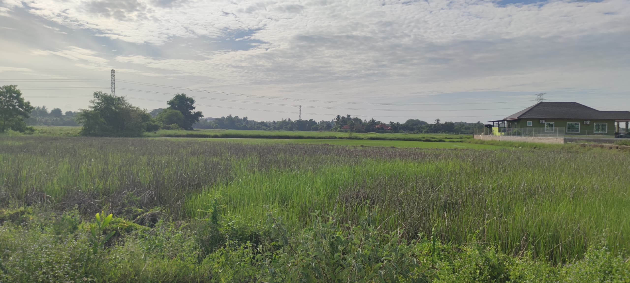 Status tapak pembangunan tanah lot Sungai Jagung 1