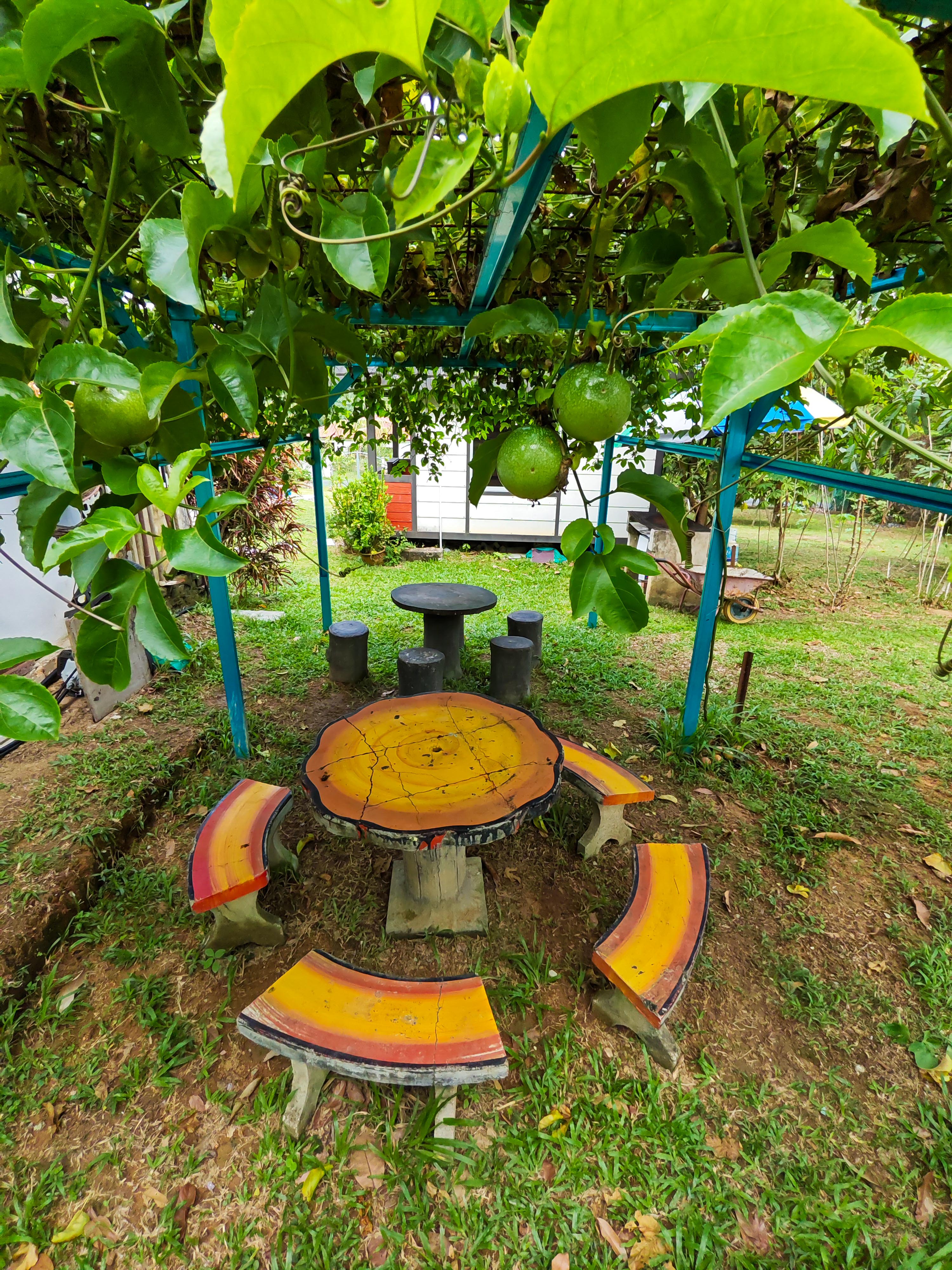 Kawasan Homestay Tok Ayah