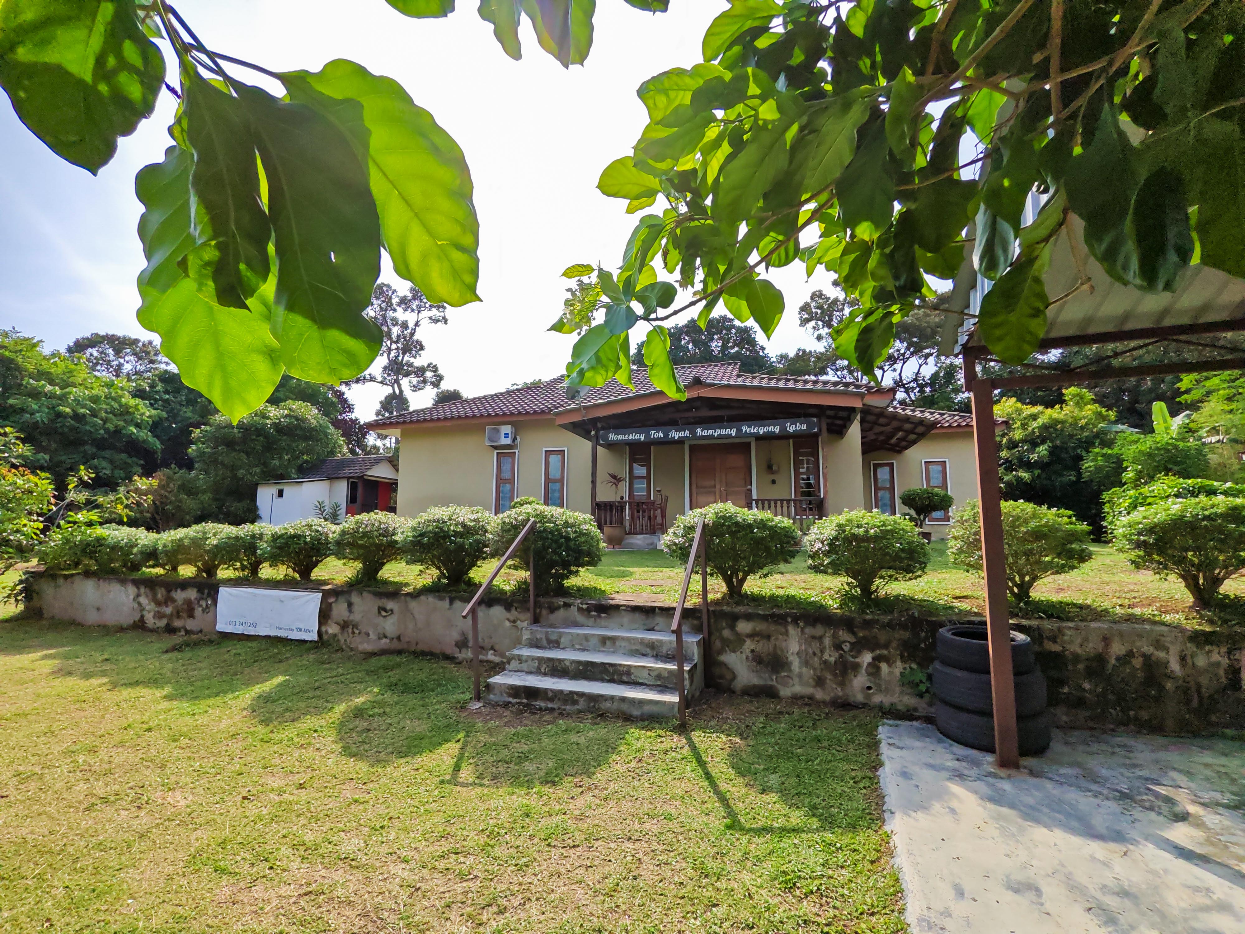 Kawasan Homestay Tok Ayah
