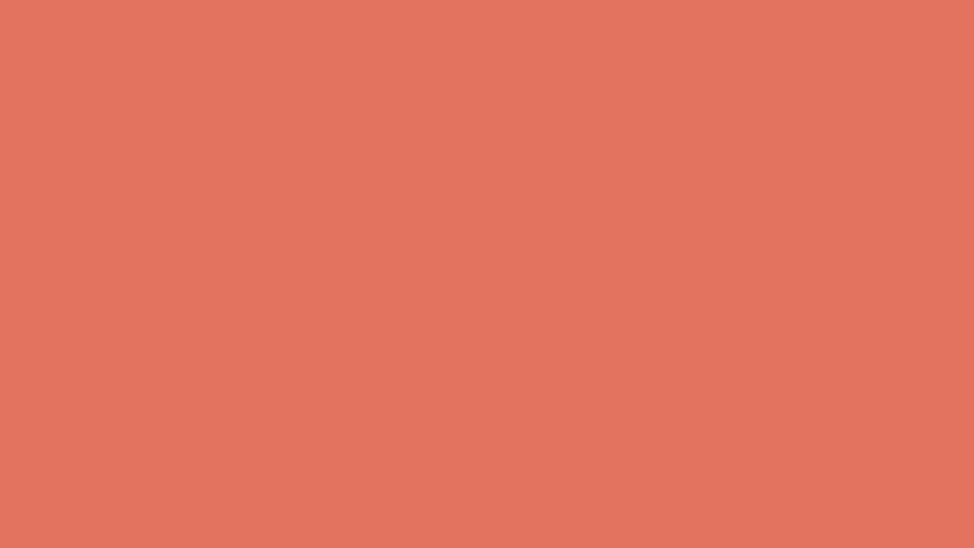 Terracotta Backdrop Photobooth