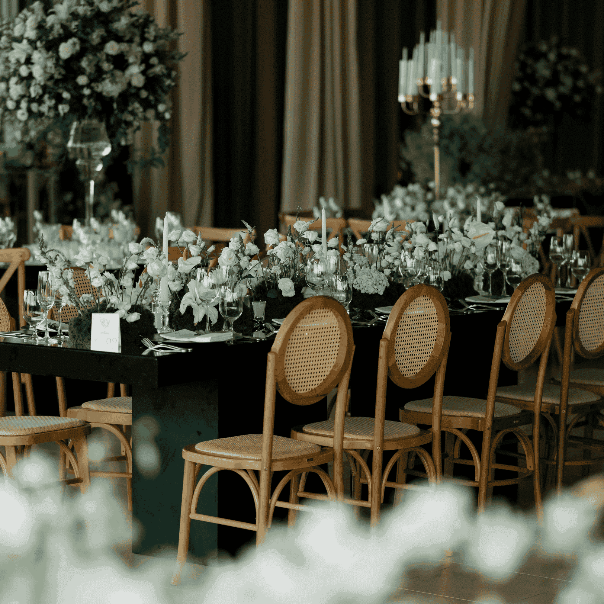 [Gambar Galeri Blossom 2]